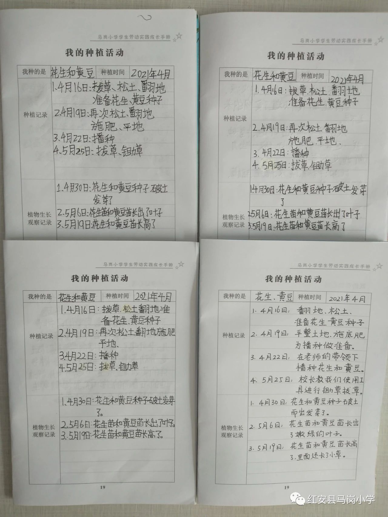 1028智库3.png